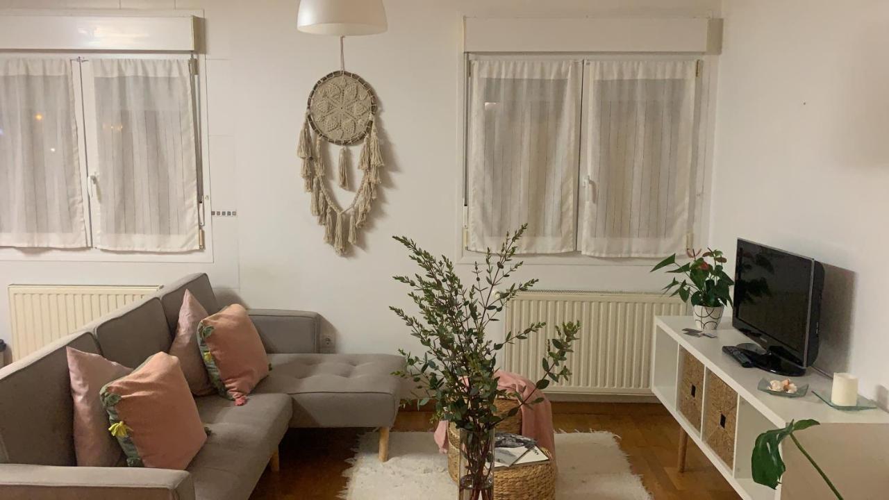 Apartamento Con Encanto Y Mucha Luz 比利亚维西奥萨 外观 照片