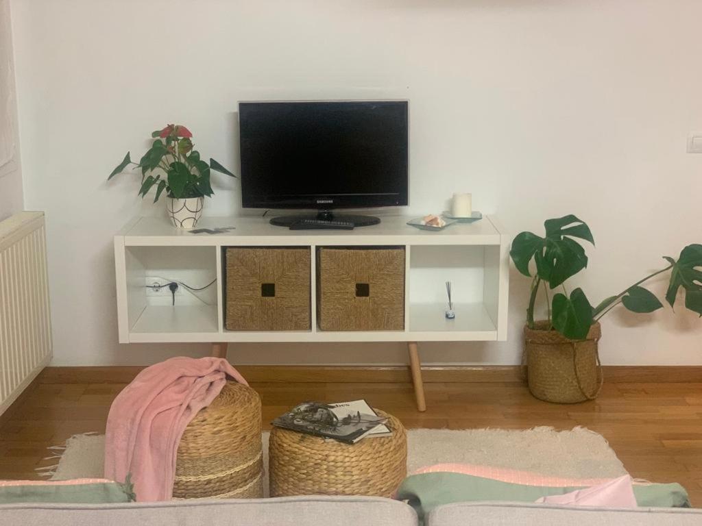 Apartamento Con Encanto Y Mucha Luz 比利亚维西奥萨 外观 照片
